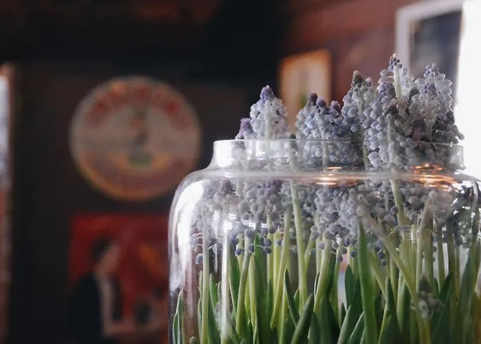 国际酒店 酒店 *